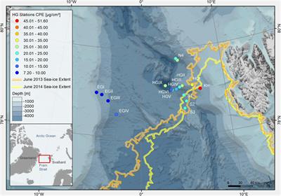 Molecular Composition of Dissolved Organic Matter in Sediment Porewater of the Arctic Deep-Sea Observatory HAUSGARTEN (Fram Strait)